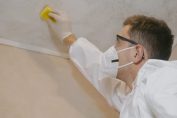 Mold Removal