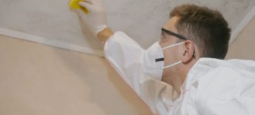 Mold Removal