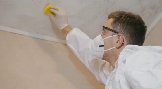 Mold Removal