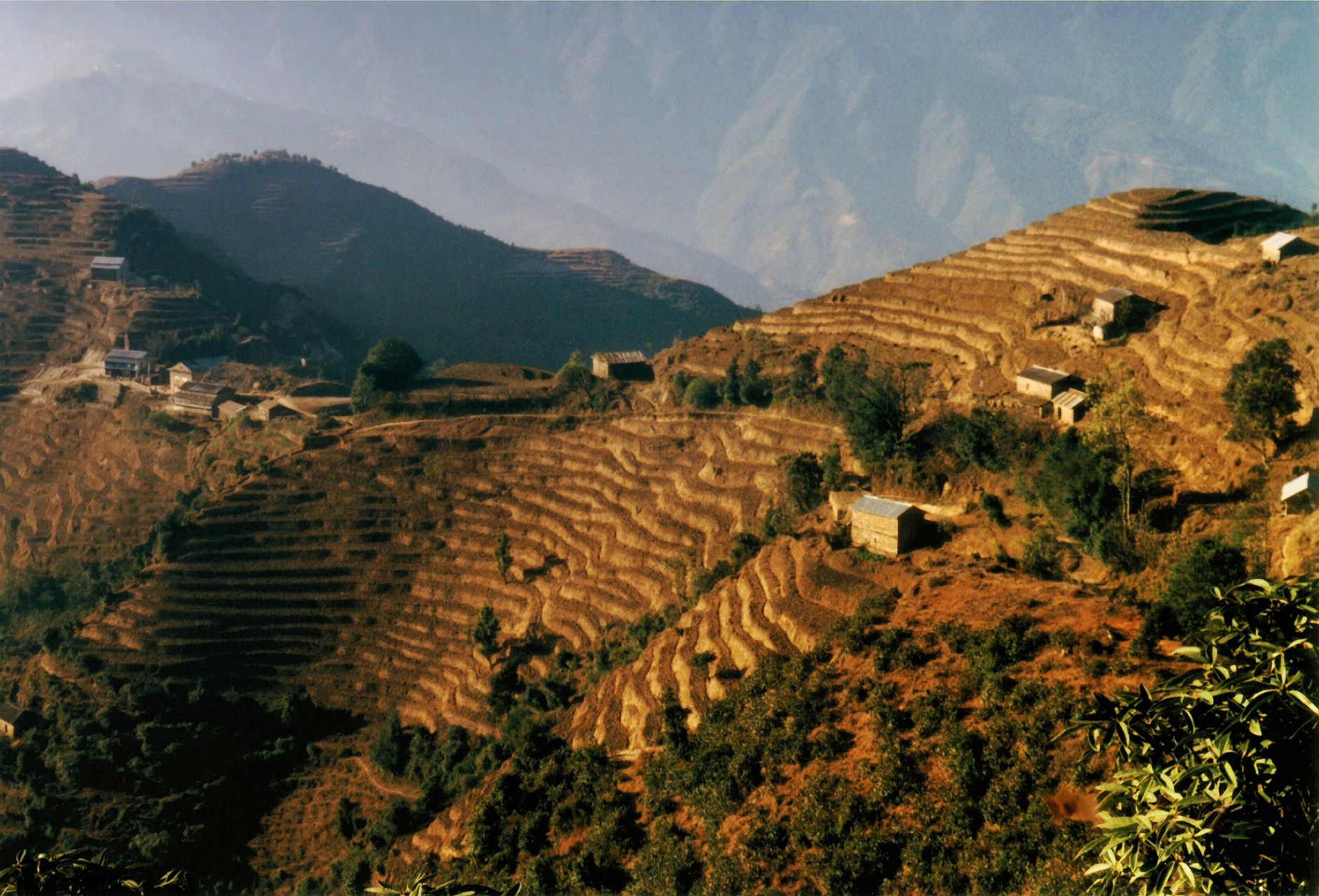 Mana Verdant Terraces